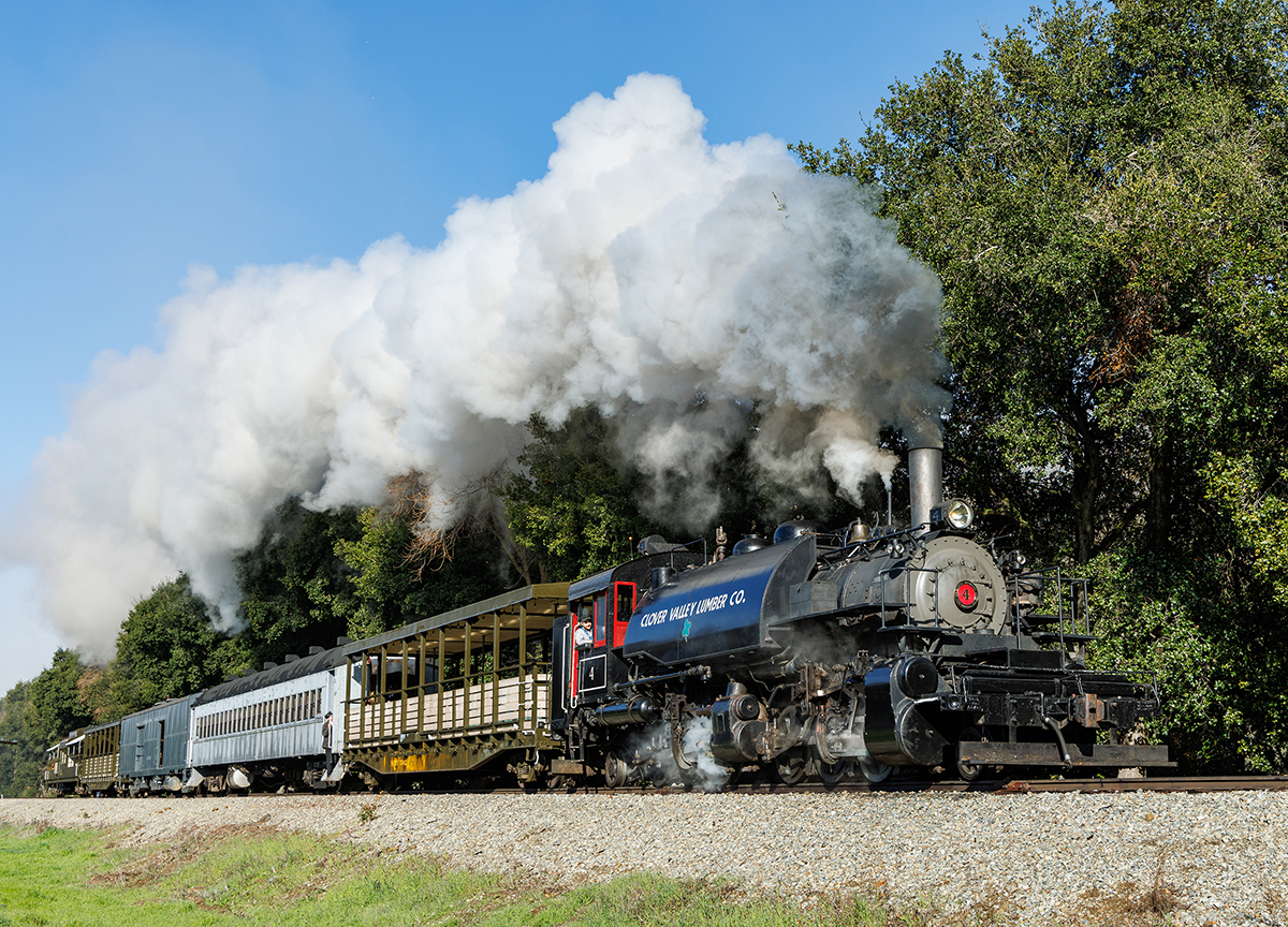A steam locomotive with a white column of steam trailing out of its stack and back along its passenger train rolls along straight part of the railroad on a sunny winter day in California where all of the foliage is a deep green from the winter rains.